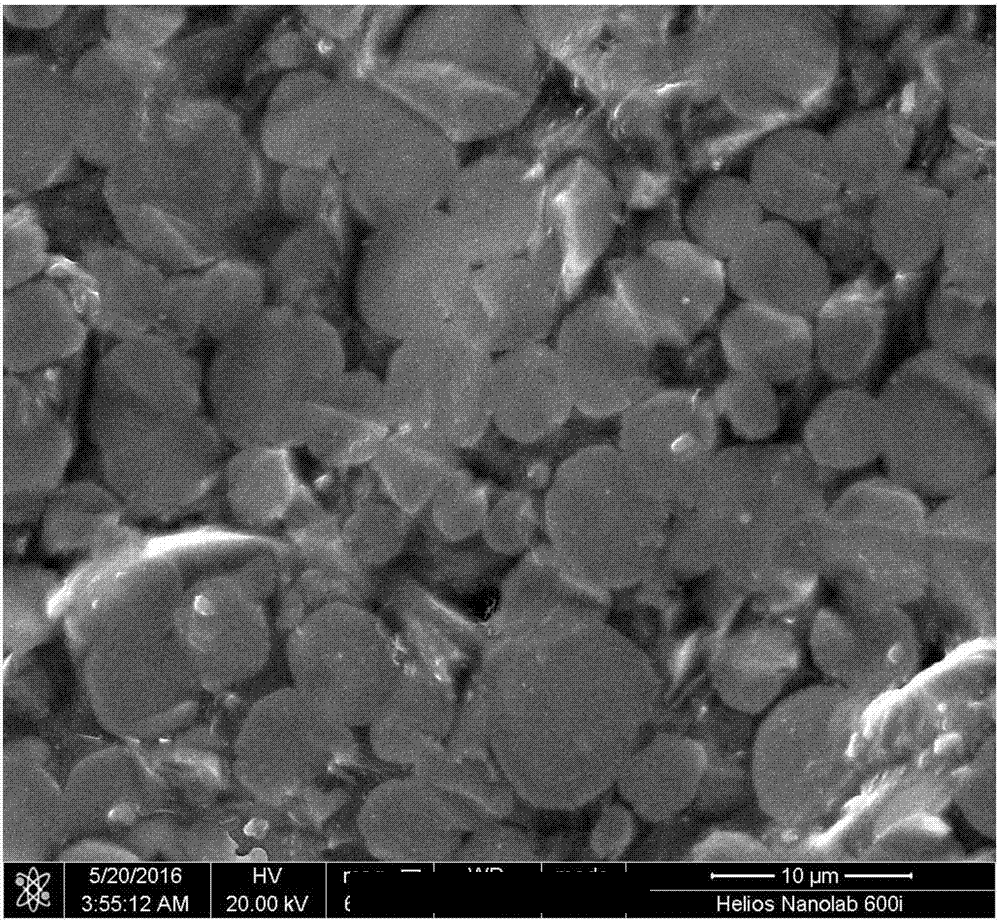 钛酸(suān)锶鋇在(zài)掃描電(diàn)鏡(jìng)上(shàng)的(de)應(yìng)用(yòng)